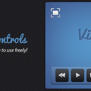 Video Controls